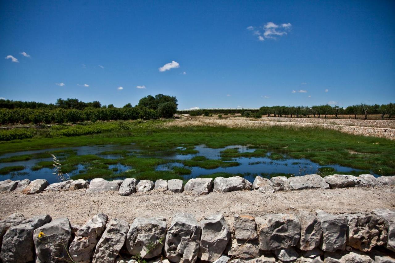 דירות קונברסאנו La Terrazza Di Puglia מראה חיצוני תמונה